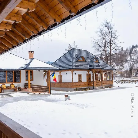 Village - Casa Maria Guest house Sadova (Suceava)