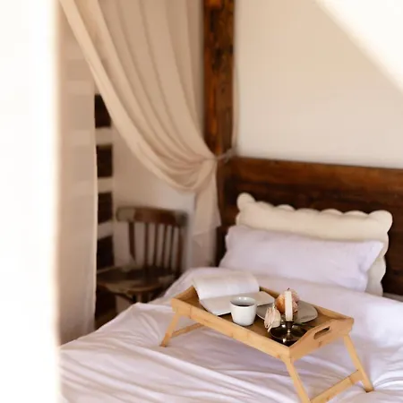 Village - Casa Maria Guest house Sadova (Suceava)